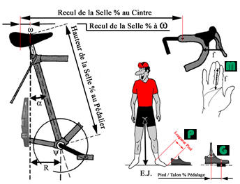 Image de l'article